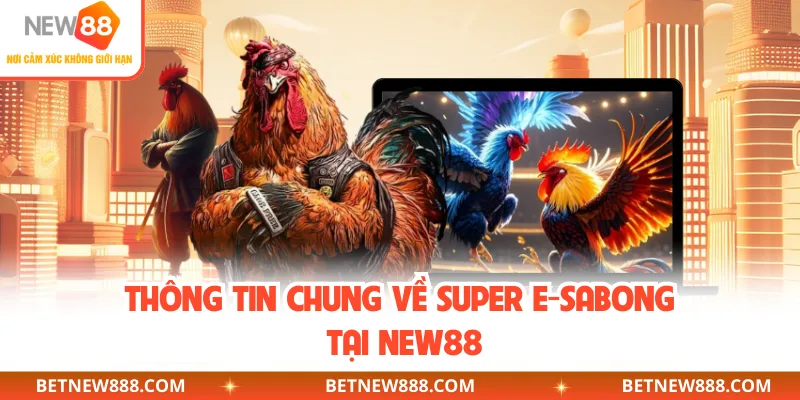 Thông tin chung về Super E-Sabong tại NEW88